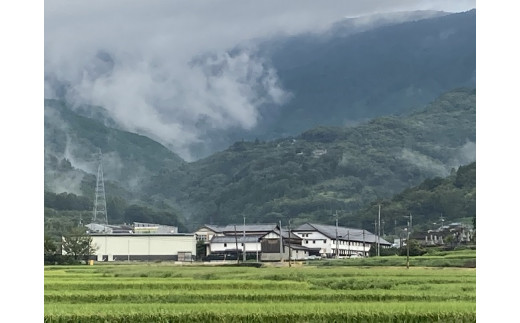 天山酒造（小城市）