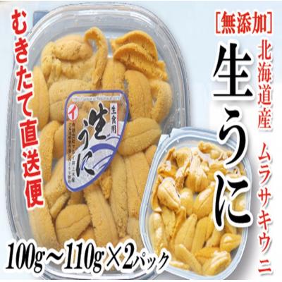 ふるさと納税 根室市 ムラサキウニ塩水パック100〜110g×2P B-53012