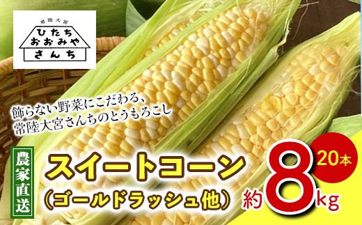 
                  ＜先行予約受付中！2026年6月下旬以降順次発送予定＞ 訳あり とうもろこし スイートコーン 20本 品種おまかせ 朝採り 旬の味覚 新鮮 コーン 先行予約 産地直送 トウモロコシ 【常陸大宮さんち農園】【ho1592】
                
