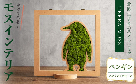 モスインテリア「ペンギン」(スプリンググリーン) ＜横200mm・高さ200mm・幅15mm＞ 観葉植物  苔 コケ テラモス インテリア 植物 【結び】 sh030-A