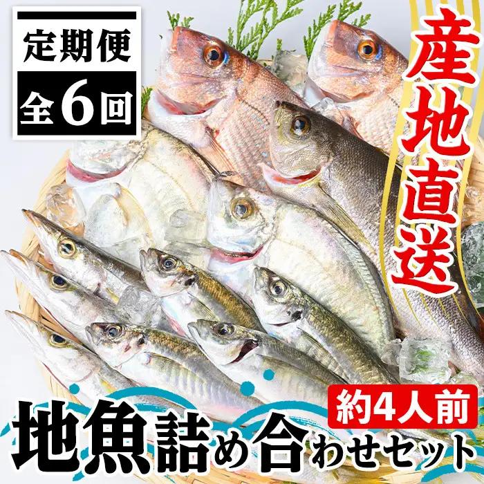 【6回定期便】鮮魚ボックス 鮮魚BOX 地魚 詰め合わせ 約4人分 産地直送【マルケイ水産】D09001