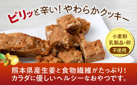 ほんきのしょうが おなかクッキー【ジンジベル】[AYAD005]