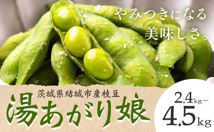 
            茨城県結城市産枝豆「湯あがり娘」選べる 2.4kg（300g×8パック） 3kg 4.5kg （茶豆味）有限会社大嶋農園 《7月中旬-8月上旬頃出荷》 野菜 国産 甘み 香り 濃厚 つまみ ビールのおつまみ ビールのつまみ【配送不可地域あり】
          