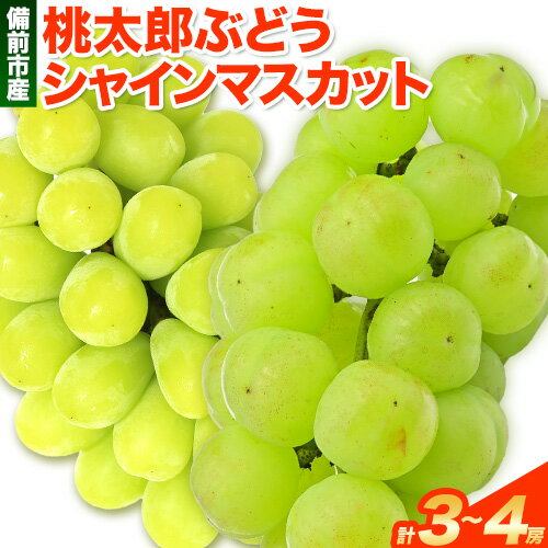 【ふるさと納税】【2025年発送】備前市産　シャインマスカットと桃太郎ぶどうの詰め合わせ 約2kg (2種3~4房） 株式会社 備前の夢《9月上旬-9月中旬頃出荷》岡山県 備前市 シャインマスカット マスカット ぶどう 果物 フルーツ