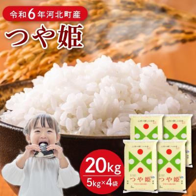 ふるさと納税 河北町 【令和6年産米】2025年6月下旬発送 特別栽培米 つや姫20kg 山形県産 【JAさがえ西村山】 | 