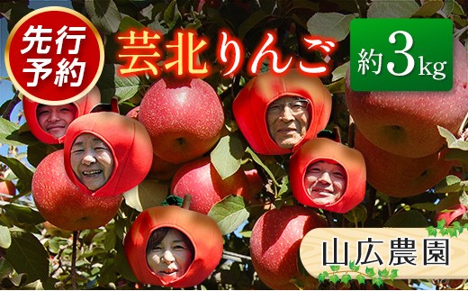 
                  ≪10月中旬以降発送≫りんご 国産 3kg 農家直送 山広農園 芸北りんご 林檎 秋映 シナノスイート 陽光 ぐんま名月 王林 シナノゴールド ふじ_YA023_001
                