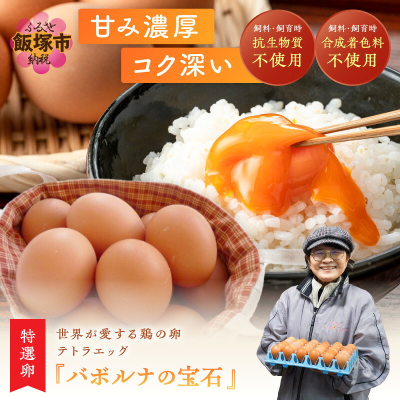 【ふるさと納税】＼お届け回数が選べる／テトラエッグ特選卵『バボルナの宝石』30個入 1回 3回 6回 12回 定期便 ふるさと納税 たまご 卵 玉子 特選卵 テトラエッグ 30個 福岡 生卵 鶏卵 無洗卵 新鮮 国産 卵かけごはん TKG ゆで卵 飯塚市 飯塚