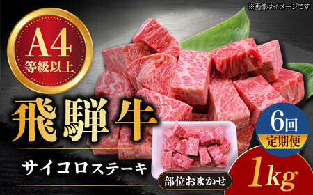 【6回定期便】 飛騨牛 サイコロステーキ 部位おまかせ 1kg A4等級以上  多治見市 / 渡辺精肉店 和牛 ブランド牛 牛肉[TAZ044]