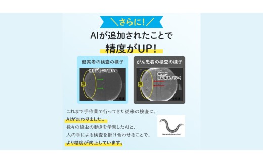 検査キット がん エヌノーズ 4人×検査2回分 定期便割 がんのリスク早期発見サービス 線虫N-NOSE セット 癌 がん gan セルフ 検査キット 癌検査 尿検査 自宅 手軽 早期治療 早期がん検