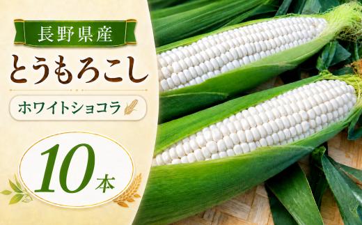 とうもろこし ホワイトショコラ 10本 | 農家直送 トウモロコシ 甘い 野菜 ジューシー みずみずしい 生食 茹で 焼き 栄養 おやつ 長野県 南信州 飯田市