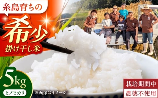 【令和7年産】福岡県 糸島市産 白米　ヒノヒカリ （掛け干し米） 5kg  糸島市 / 谷川農園 コメ 米 掛干し米 [AVQ005]