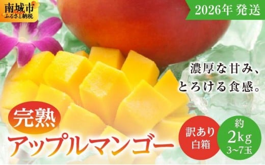 
            ★【2026年発送】＜訳あり・ご家庭用＞完熟アップルマンゴー約2kg（白箱）3玉～7玉
          
