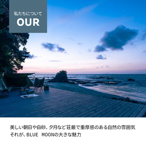 旅行 静岡県 KAWAZU BEACH HOUSE BLUE MOON 宿泊補助券 5000円分 キャンプサイト 1区画 4名様分 素泊まりのみ 施設利用券 チケット 宿泊券 旅行券 宿泊 キャンプ 