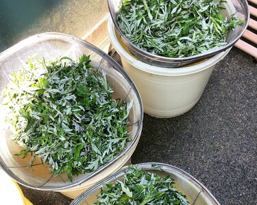 ともぞう餅【こしあん15個】5個入３パック 白餅 よもぎ餅 選べるセット｜愛媛県 久万高原町 手作り 餅 もち こしあん よもぎ スイーツ 和菓子 正月 雑煮 ぜんざい きな粉餅 昔ながらの味