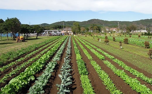 作付けから管理までフルサポート付