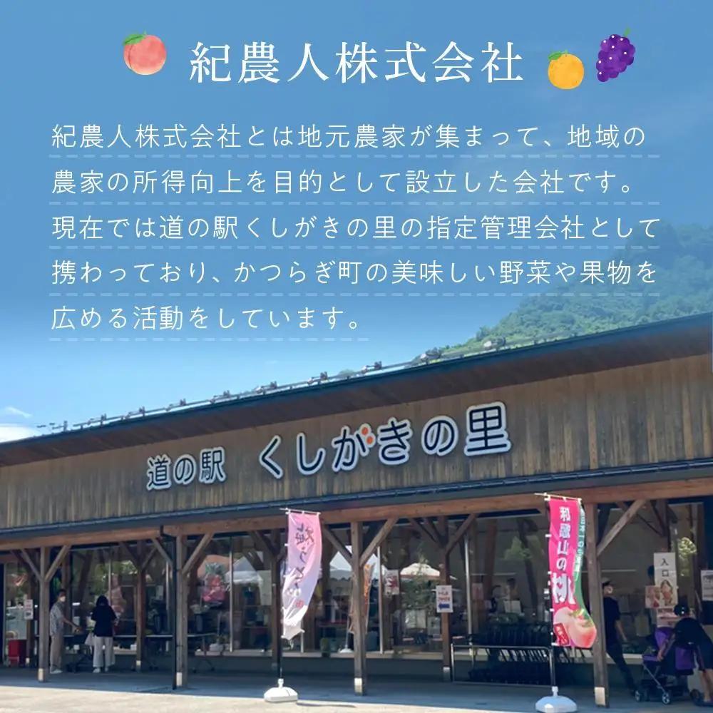 【限定】 富有柿 2kg～2.5kg 6個入 至高の逸品 約1000個に１個！【先行予約】【2026年11月初旬頃から発送】【KG5】柿