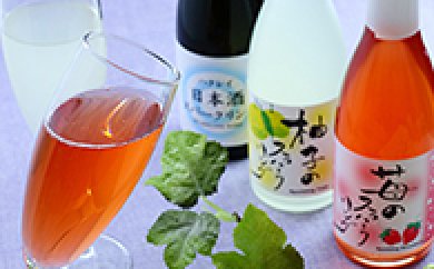 ハクレイ酒造スパークリングセット