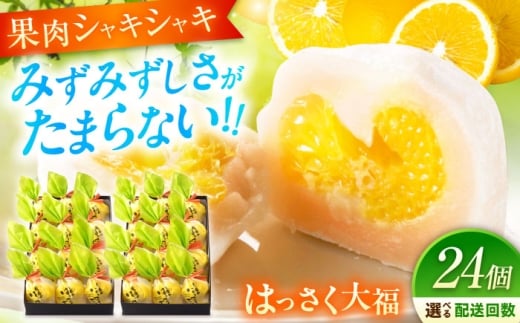 【全3回定期便】お菓子 はっさく大福12個入×2  お菓子 大福 八朔 柑橘 みかん オレンジ 餅 ギフト お取り寄せ スイーツ フルーツ大福 ご当地 菓子 おかし デザート 食品 人気 おすすめ 果汁 広島県産 特産品 産地直送 お取り寄せ 贈り物 ギフト 贈答品 絶品 和菓子 定期便 国産 白あん 個包装 逸品 定期便 福山スイーツ 広島県福山市/株式会社虎屋本舗[BADH018]