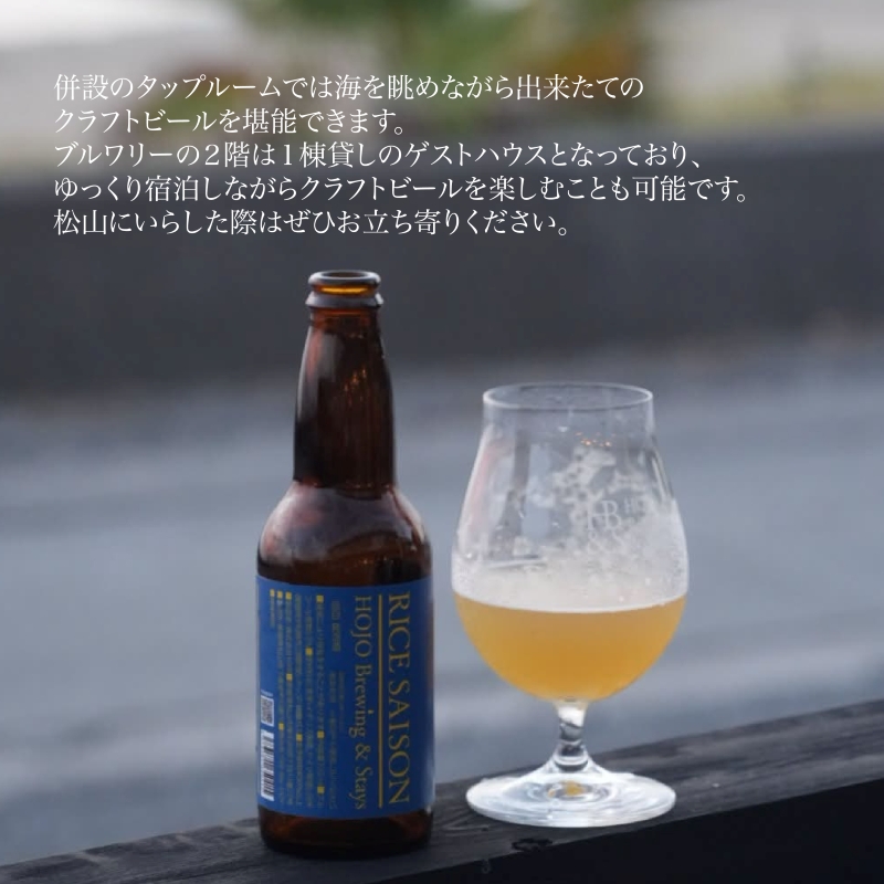愛媛 松山 北条 クラフトビール おまかせ 12本セット 愛媛県 松山市 クラフトビール