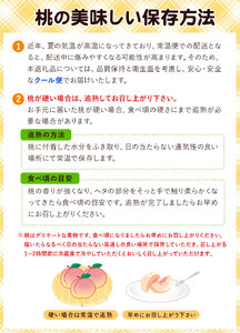 【先行予約】岡山の桃食べ比べ定期便3回コース 株式会社山博 (中本青果)《2024年7月上旬から9月下旬発送予定》岡山県 浅口市 桃 もも フルーツ 旬 果物 国産 岡山県産 送料無料 冷蔵 食べ比べ