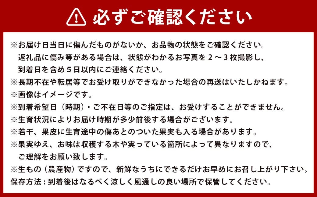 アールスメロン1玉＆みかん約1kgセット【2026年12月上旬発送開始】