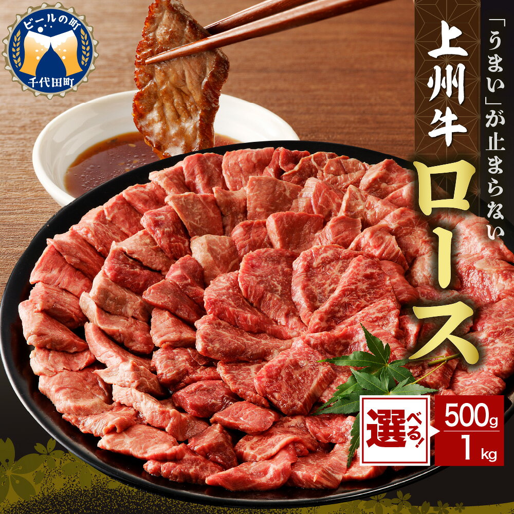 【ふるさと納税】 牛肉 ロース 【 上州牛 】( 選べる : 500g / 1kg )国産 和牛 和牛肉 ブランド牛 精肉 肉 お肉 焼肉 バーベキュー BBQ キャンプ アウトドア 食品 冷凍便 グルメ お取り寄せ グルメ 送料無料 群馬 県 千代田町