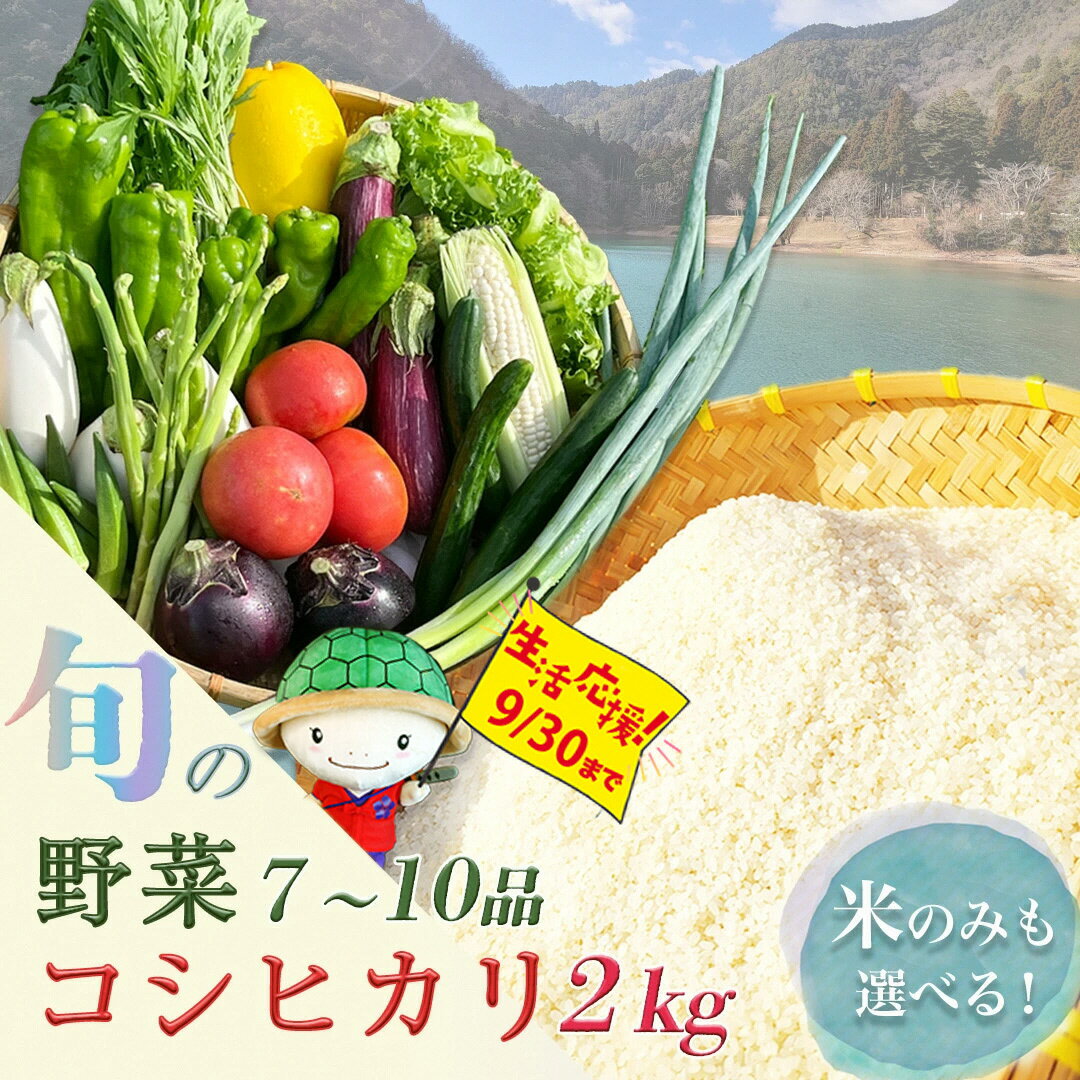 【ふるさと納税】【訳あり・生活応援】米 定期便 2kg(コシヒカリ) 旬の野菜7～10品セット 1回 6回 12回 京都 京都丹波/亀岡産 季節の野菜 詰め合わせ≪産地直送 直売所 令和7年産 6ヶ月 12ヶ月 ふるさと納税野菜 京野菜≫※配送不可地域あり【9月30日まで 寄附額改定】