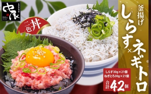 釜揚げしらすとネギトロ二色丼セット (しらす30g×21・ネギトロ30g×21／計42パック)  |  冷凍 小分け 釜揚しらす 魚 常備品 しらす丼 しらすパスタ しらすチャーハン 炒飯 しらす干し 海鮮丼 ねぎとろ まぐろ ねぎとろ丼 おつまみ たんぱく質 愛媛県 松山市