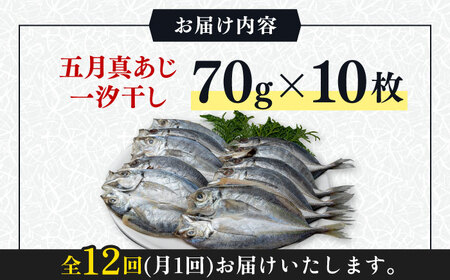 【全12回定期便】対馬 五月 真あじ 一汐干し 10枚 《 対馬市 》【 うえはら株式会社 】新鮮 アジ 干物 海産物 朝食 冷凍[WAI044] コダワリ干物 こだわり干物 おすすめ干物 おススメ干