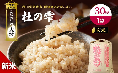 令和7年産 新米 玄米 秋田 あきたこまち 杜の雫 30kg 1袋 秋田県産 米 お米 こだわりの大粒 種梅産 ご飯 ブランド米 大粒 おにぎり 産地直送 送料無料 おこめ ごはん 秋田県