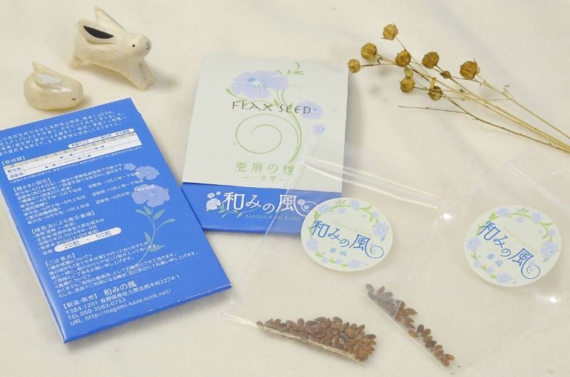 和みの風　観賞用亜麻の種