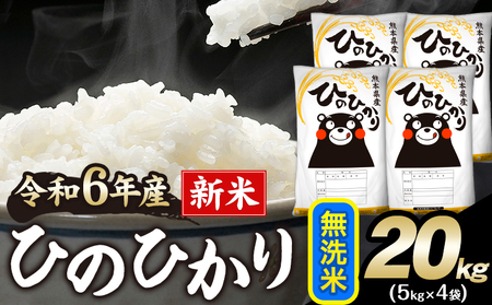 令和6年産 新米 早期先行予約受付中 ひのひかり 無洗米 20kg 《11月-12月より出荷予定》 無洗米 精米 熊本県産(南阿蘇村産含む) 単一原料米 南阿蘇村