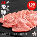 【ふるさと納税】飛騨牛 メス牛 最高A5等級 赤身モモ・カタ 焼肉用 500g 国産 黒毛和牛 牝牛 ギフト ひだうし ひだぎゅう