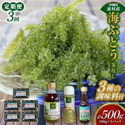 【ふるさと納税】【定期便：3回】美ら海 沖縄県産 海ぶどうセット／茎なし500g（100g×5パック）＆調味料3種セット 海ブドウ 海ぶどう うみぶどう パック 茎なし ポン酢 ドレッシング たれ付き クビレズタ 海鮮 海藻 プチプチ おつまみ 沖縄料理 ご当地 特産品 グルメ 常温
