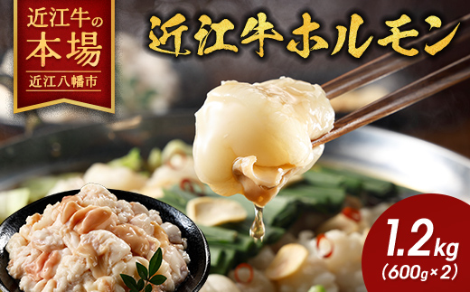 【カメチク】近江牛ホルモン焼肉または鍋用1200ｇ（600ｇ×2）【FK04W】