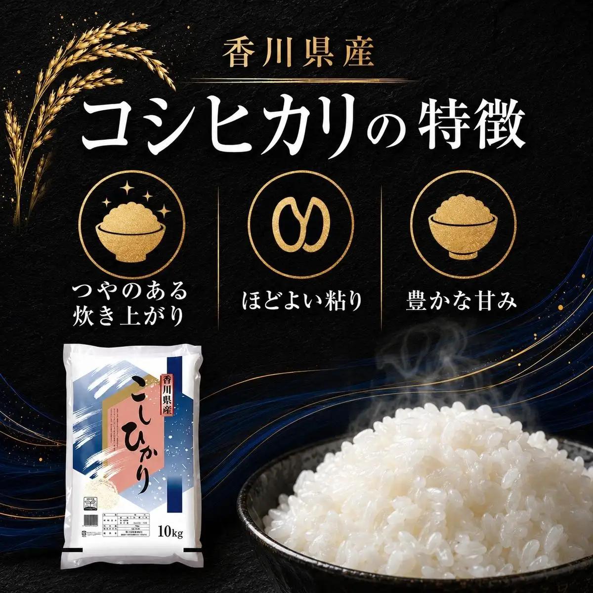 コシヒカリ 米 精米 白米 香川県産 コシヒカリ【10kg】