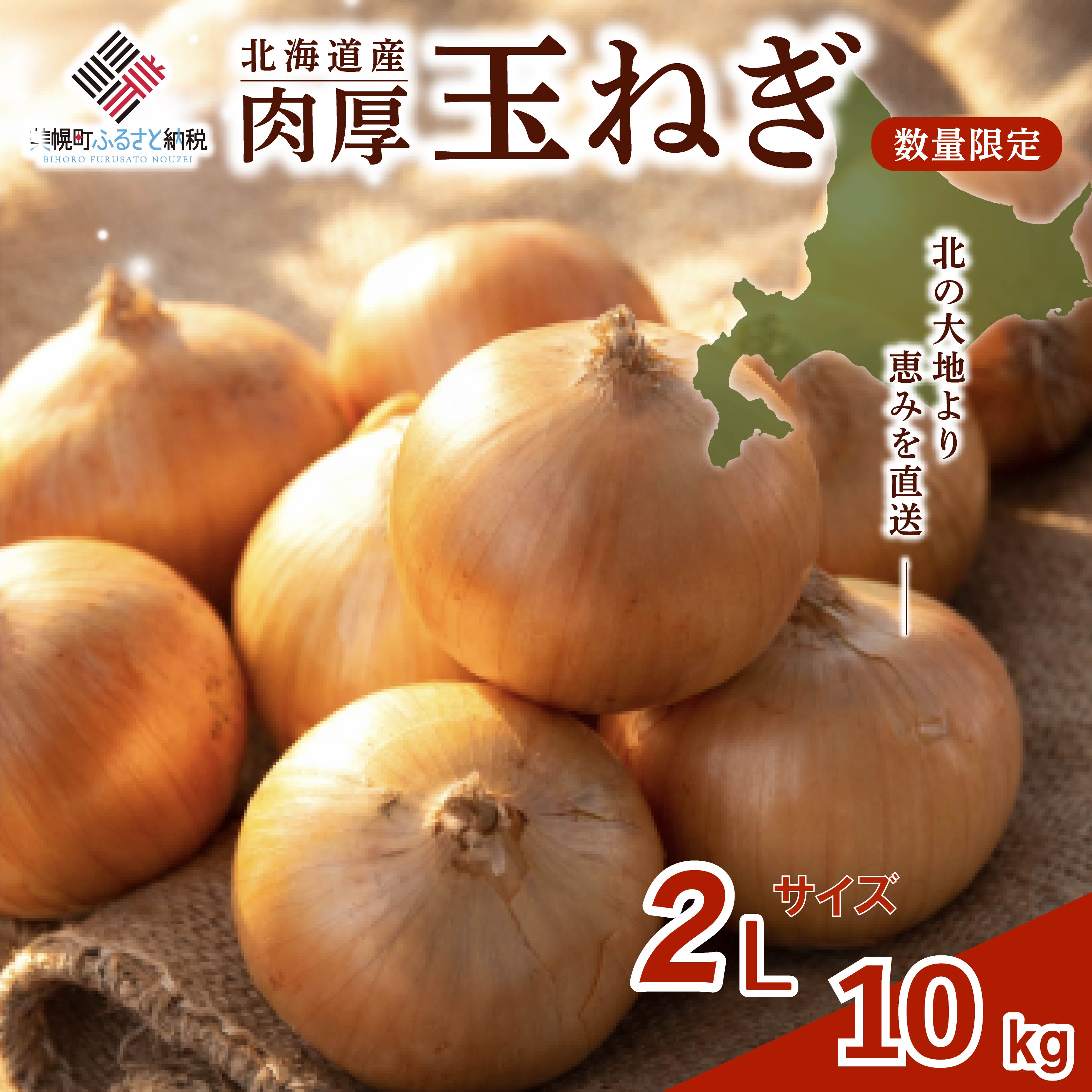 【ふるさと納税】 数量限定 玉ねぎ 10kg 【 先行予約 R8年度産 2Lサイズ】 人気 ランキング 玉ねぎ 国産 野菜 北海道 美幌町