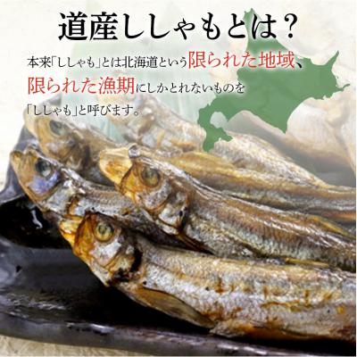 ふるさと納税 釧路市 本場くしろ産 ししゃもオス・メス60尾入り! 本ししゃも F4F-5540 |  | 01