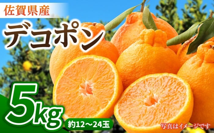 
            【1月中旬～3月下旬発送・バランスの良い酸味と甘味】佐賀県産 みかん「デコポン」5kg 吉野ヶ里町/リエンサーク [FCC007]
          