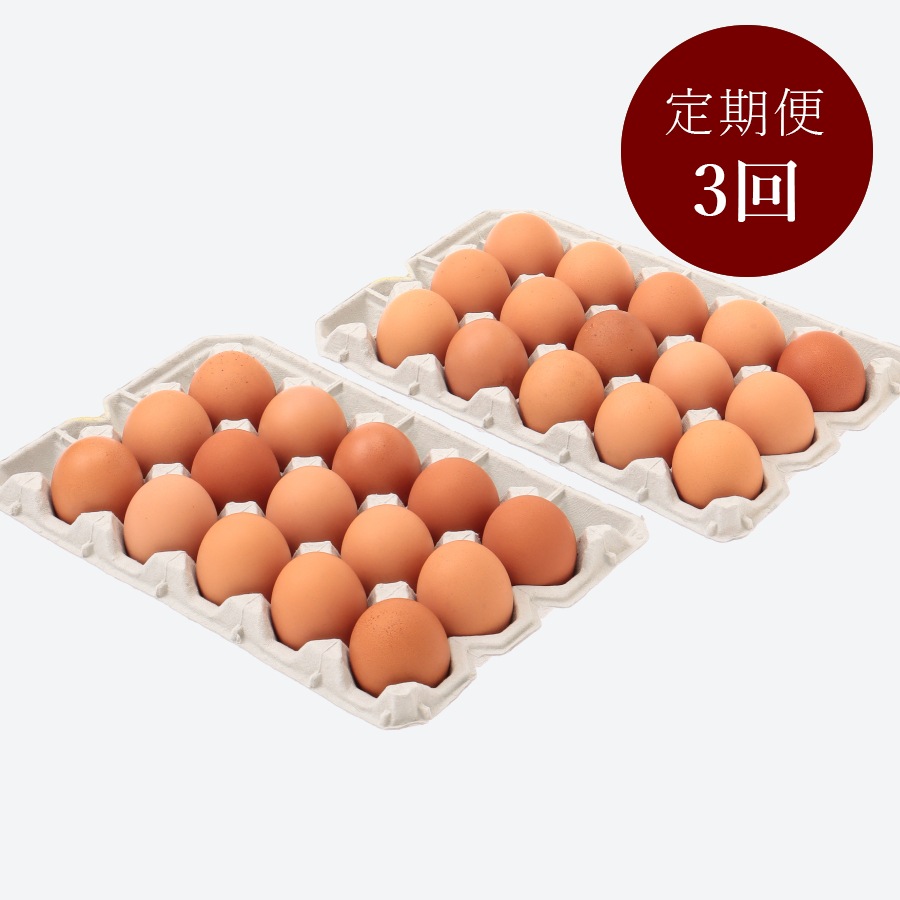＜関匠卵＞たくみ30個　3回定期便