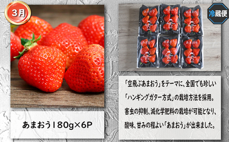 【4回届く！コースA】福岡ご当地定期便★福岡の人気商品を4回お届け！[G7048]