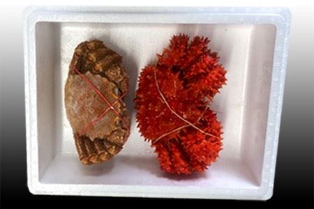 毛かに400g前後～550g前後×1尾・花咲かに300g前後～450g前後×1尾 B-30042