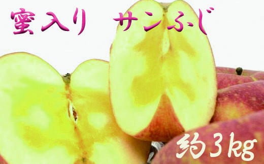 
【予約受付】【贈答用】味の良い岩手の蜜入り サンふじ 約3kg 【652】

