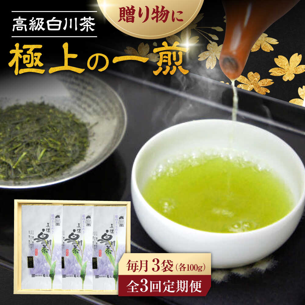 【ふるさと納税】【3回定期便】本格 高級茶セット 100g×3袋 化粧箱入り お茶 煎茶 白川茶 茶葉 ギフト 白川町 / 菊之園[AWAG009]