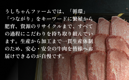 国産 牛たんスライス 約300g 宮城県産 牛タン