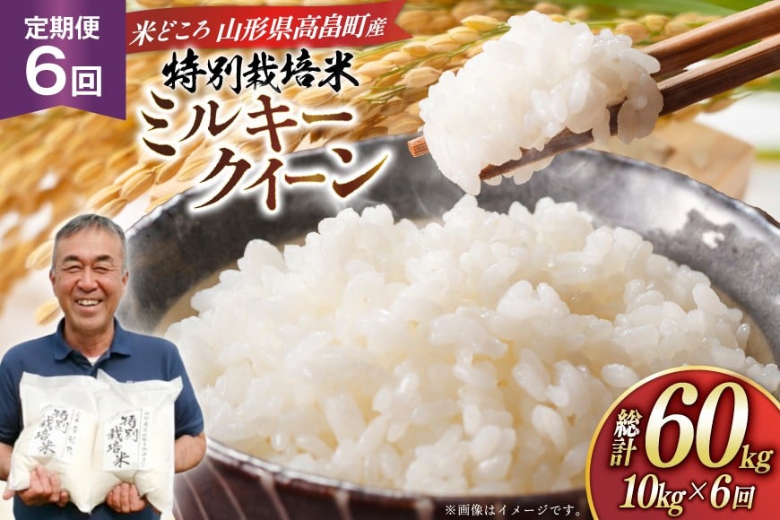 
                  米 定期便 6回 令和8年 ミルキークイーン 10kg 6回 計60kg [渡部ファーム 山形県 高畠町 tk06ays810036] お米 白米 精米 ごはん ご飯 ブランド米
                