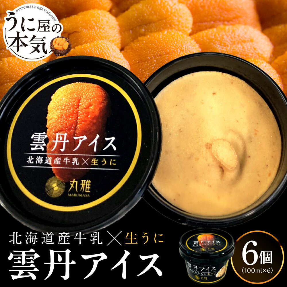 【ふるさと納税】 雲丹 アイス 100ml×6個 ウニ 北海道産 牛乳 うに屋 濃厚 まろやか 生うに アイスクリーム お取り寄せ スイーツ デザート 菓子 北海道 札幌市