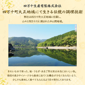 藁焼き かつおのたたき 2節（600g） 藁焼き かつおのたたき 鰹 船上凍結 ポン酢付き ／Ess-17 