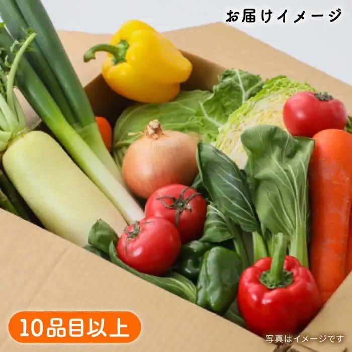 地元農家さんが収穫した旬のお野菜  10種詰め合わせ / 野菜 旬 新鮮 採れたて 季節野菜 旬野菜 農家直送 / 南島原市 / ミナサポ [SCW022]