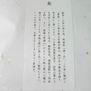 米 お米 《定期便》4kg×6ヶ月 秋田県産 あきたこまち 玄米 2kg×2袋 神宿る里の米「ひの米」（お米 小分け）